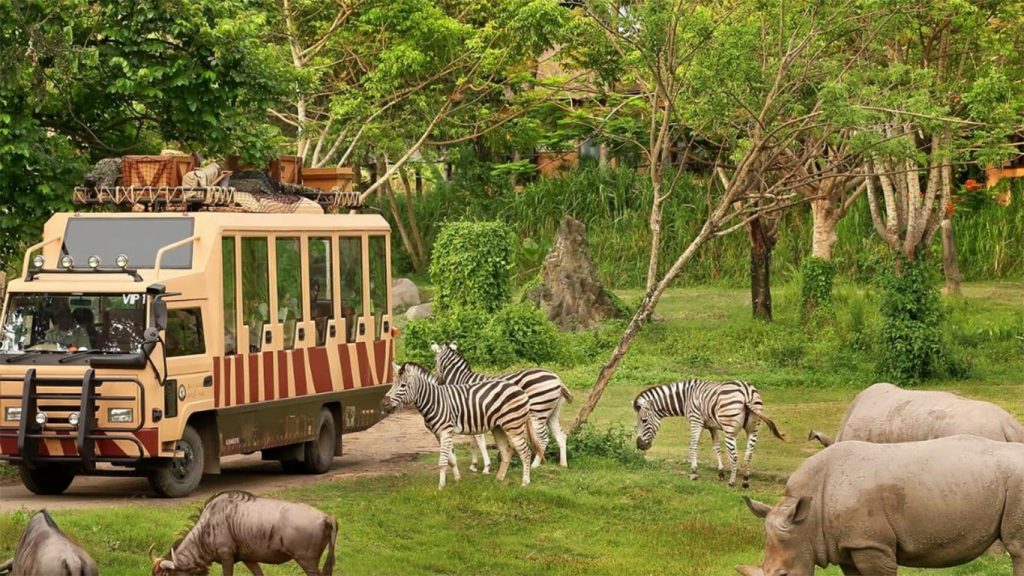 Bali Safari Marine Park - Rumah bagi Lebih dari 1000 Hewan Menakjubkan dengan Lebih dari 120 Spesies! 2 bali safari and marine park bali