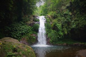 Gitgit Waterfall Bali