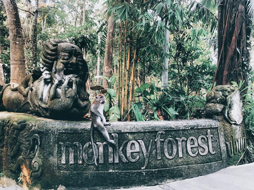 Monkey Forest - 14th Century Sacred Forest Sanctuary in Ubud - A Must-See Tourist Attraction in Bali 1 Monkey Forest 2 by monkeyforestsanctuaryubud