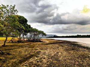 Karang Sewu Beach 2