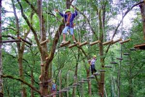Treetop Adventure1