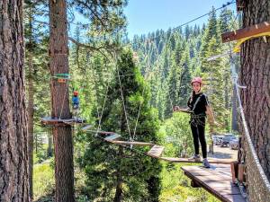 Treetop Adventure2