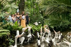 bali bird park 2