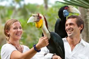 Bali Bird Park