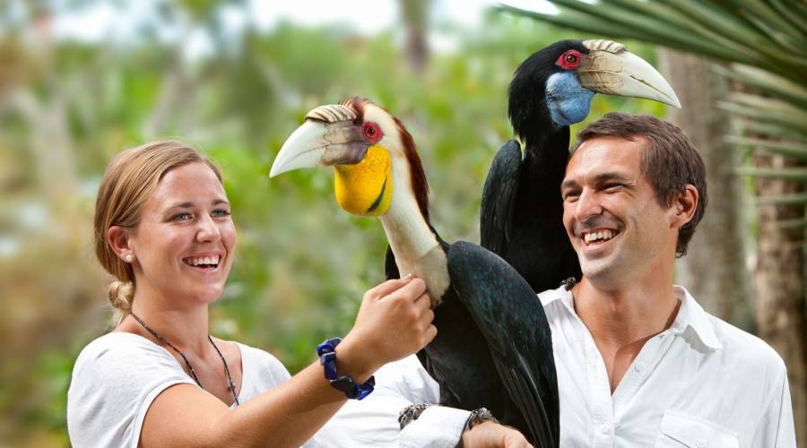 Bali Bird Park