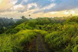 Bukit Campuhan Bali