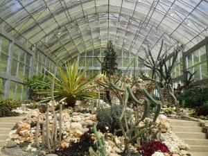 Bali Botanic Garden 2