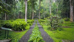 Bali Botanic Garden 5