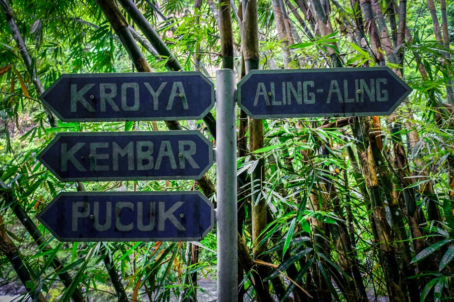 Aling Aling Waterfall, Cliff Jumping and Natural Slides that Will Pump Your Adrenaline & 3 Other Waterfalls. 3 DSCF5741