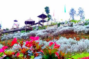 Kasna Flower Field Bali