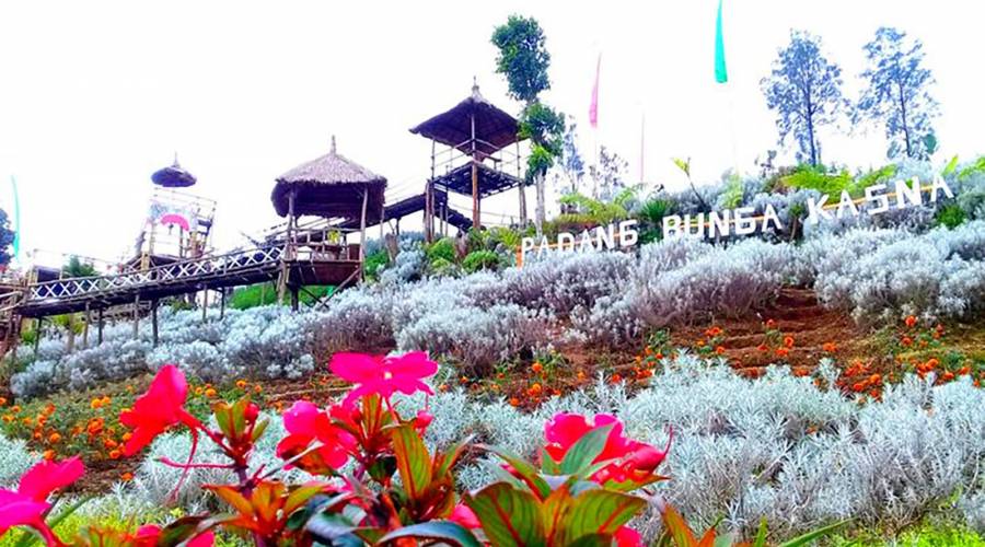 Kasna Flower Field Bali
