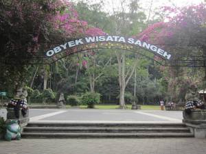 Sangeh Monkey Forest 1