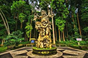 Sangeh Monkey Forest 2
