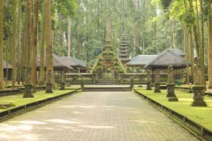 Sangeh Monkey Forest Bali