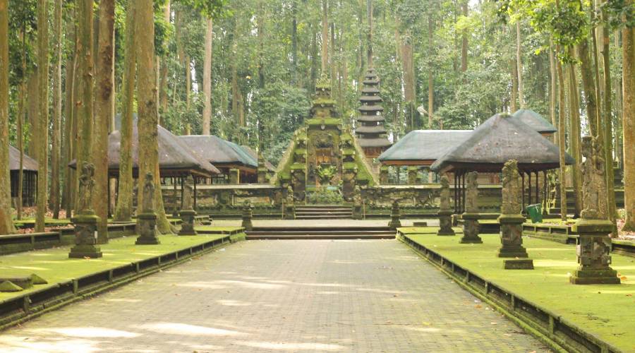 Sangeh Monkey Forest Bali