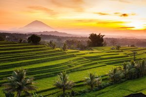 HOW COVID 19 AFFECTS BALI