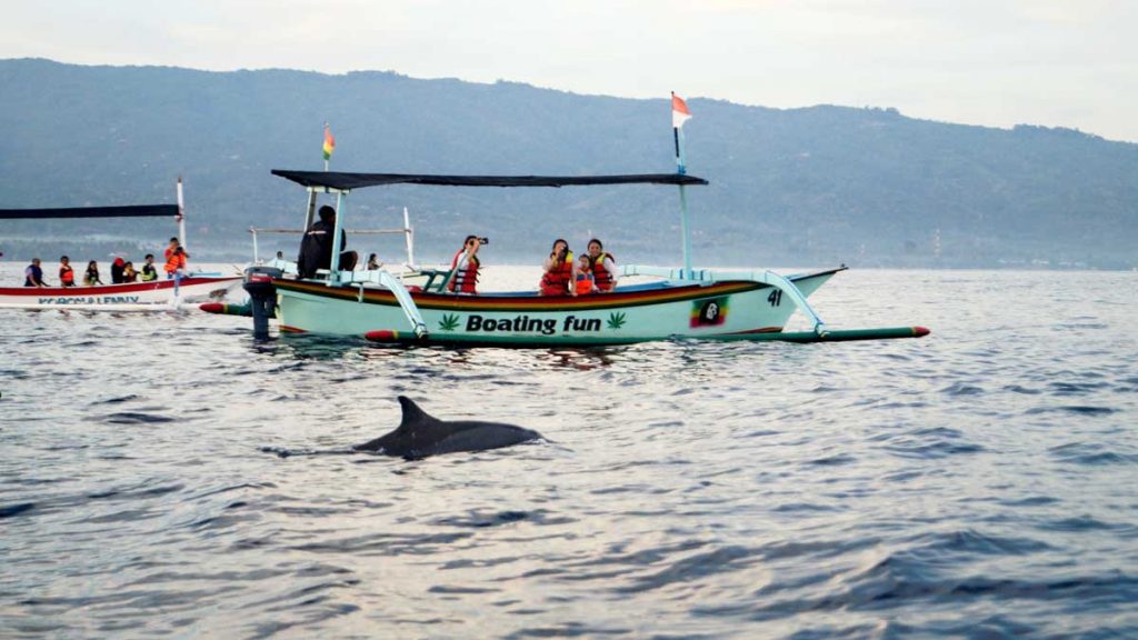 Pantai Lovina - Waktu Terbaik Berkunjung untuk Melihat Lumba-Lumba Beraksi 14 Lumba Lumba Pantai Lovina Bali Feature Image