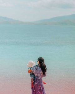 Unbelieveable Padar Island, Pink Beach, Fireless Dragon and Taka Makassar