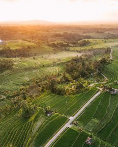Jatiluwih Rice Terrace Bali