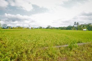 Kuber ATV Bali Adventure