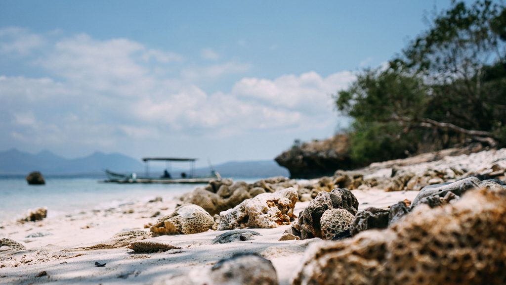 Menjangan Island Bali – The Best Place For Scuba Diving & Snorkeling with Incredible Underwater Natural Beauty. 3 Menjangan Island Bali Feature Image