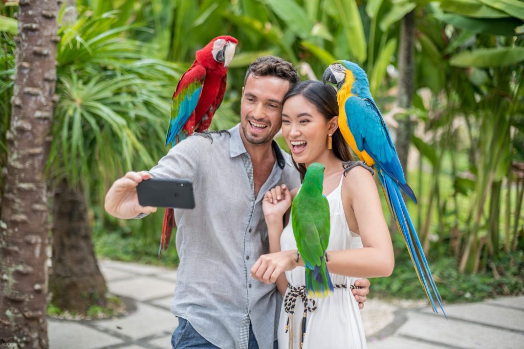 Bali Bird Park - Buka sejak 1994 dengan Jumlah 250 Spesies dan 1000 Burung yang Menakjubkan! 3 TiketBaliBirdPark KlookIndonesia