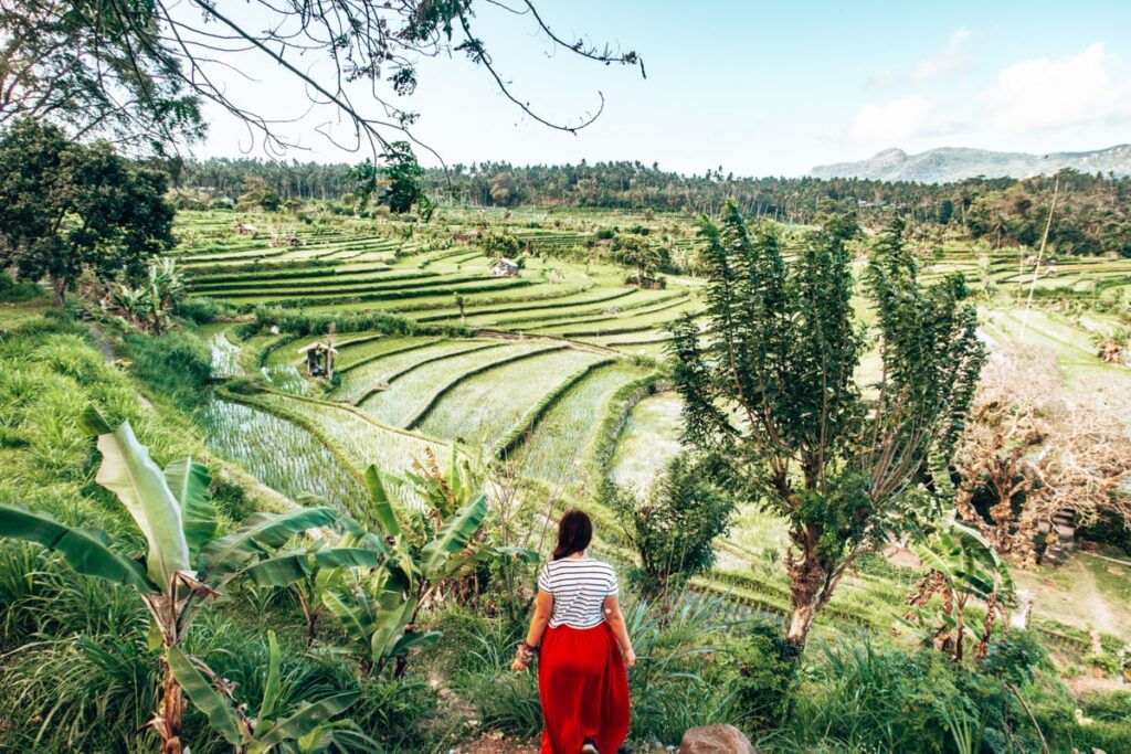 Is Bali Cheap? How to Travel Bali on a Budget 1 5e26e0c371529161389affb0 places to visit in bali