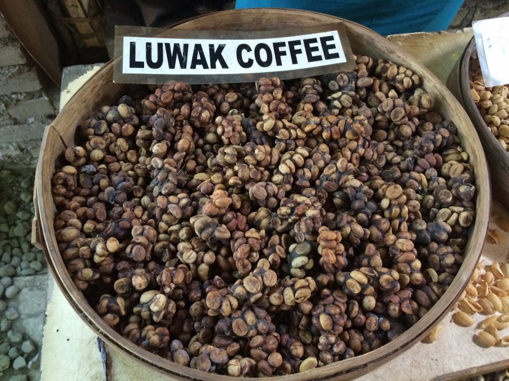 7 Best Bali Coffee Places for Your Daily Caffeine Shot! 5 Luwak Coffee Bali