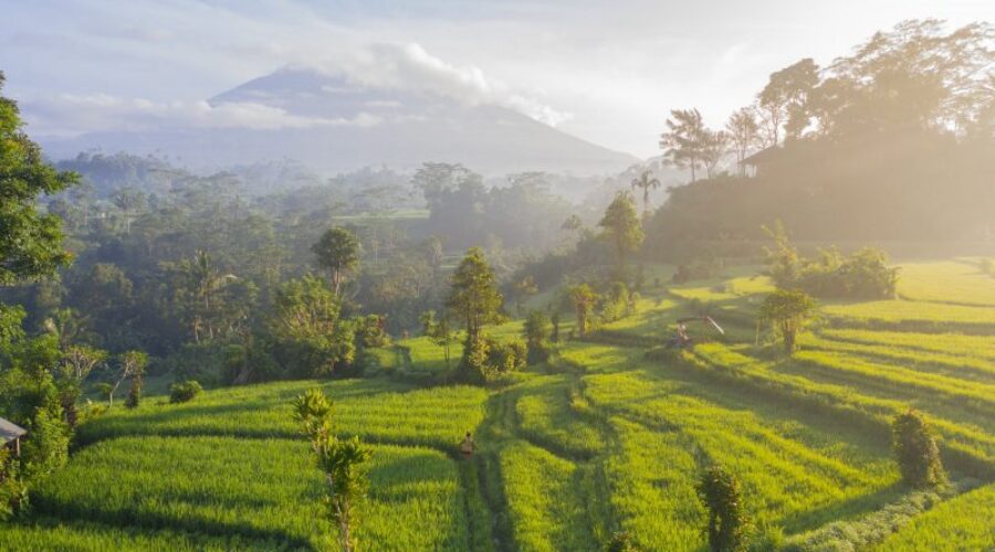 100% Refreshing West Bali Itinerary: How to Spend 7 Days in Bali