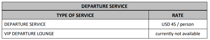 Bali Airport Service 2 departure service