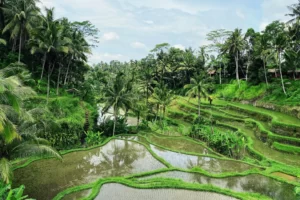 ubud-bali
