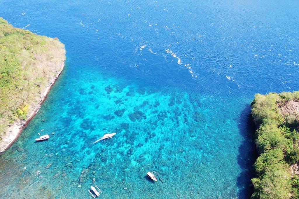 Discover Gamat Bay Nusa Penida: Bali's Best-Kept Secret for Snorkeling and Marine Life 3 gamat bay beach aerial view