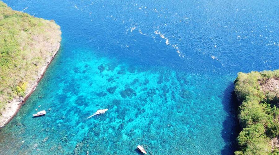 Discover Gamat Bay Nusa Penida: Bali’s Best-Kept Secret for Snorkeling and Marine Life