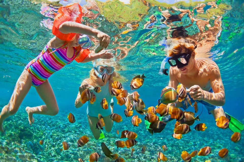 Discover Gamat Bay Nusa Penida: Bali's Best-Kept Secret for Snorkeling and Marine Life 1 Snorkeling at Gamat Bay