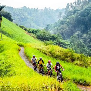 DOWNHILL CYCLING