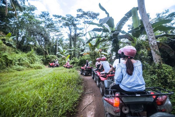 ATV Single