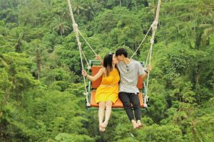 Jungle Swing