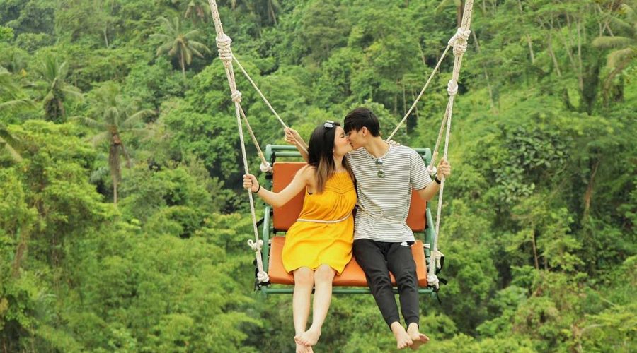 Jungle Swing