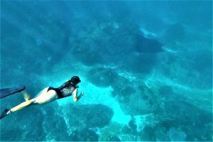 Swim with Manta 3