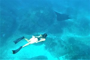 Swim with Manta 4