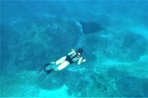 Swim with Manta