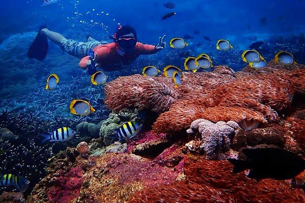 Exploring the Charms of Mushroom Beach Bali 3 mushroom beach bali snorkeling