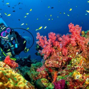 DIVING