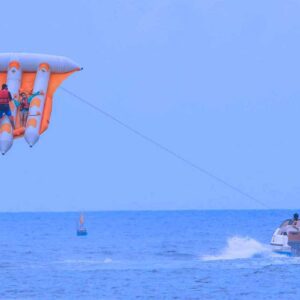 FLYING FISH