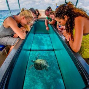 GLASS BOTTOM & PULAU PENYU