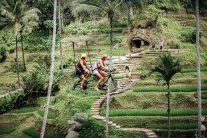 Experience the Rush with Flying Fox & Sky Bike