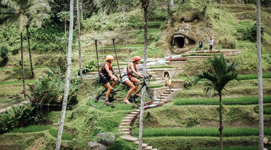 Experience the Rush with Flying Fox & Sky Bike