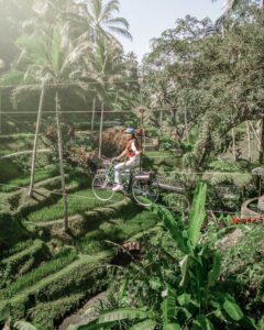 alas harum single sky bike 1