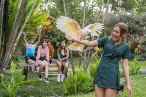 Bali Bird Park Premier Ticket