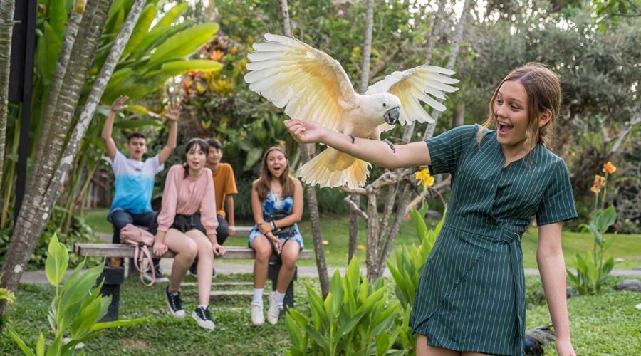Bali Bird Park Premier Ticket